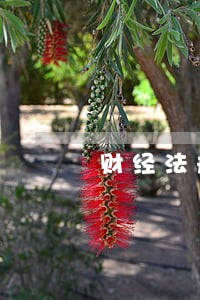 财经法规第二章第四节 财经法规第二章第四节