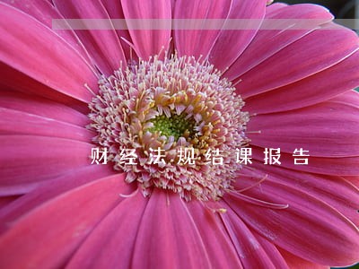财经法规结课报告
