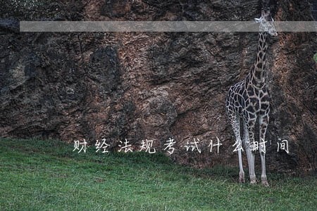 财经法规考试什么时间