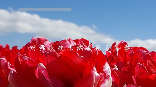 财经法规考试真题及答案 财经法规考试真题及答案