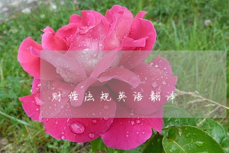 财经法规英语翻译 财经法规英语翻译