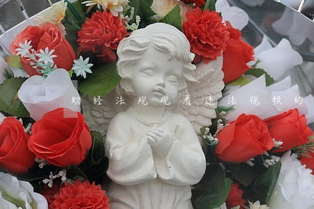 财经法规观看违法视频的观后感 财经法规观看违法视频的观后感