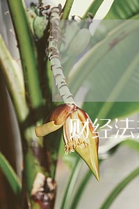 财经法规论文选题 财经法规论文选题