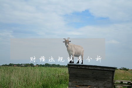 财经法规试卷分析 财经法规试卷分析