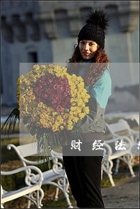 财经法规课程设计 财经法规课程设计