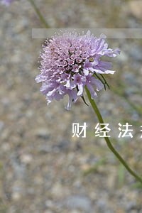 财经法规财务制度 财经法规财务制度