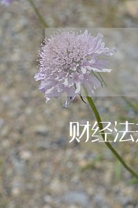 财经法规转账 财经法规转账