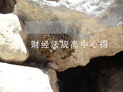 财经法规高中心得 财经法规高中心得