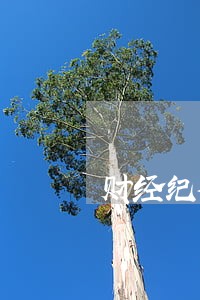 财经纪律法规制度考试题 财经纪律法规制度考试题