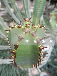 财经违法违纪行为 财经违法违纪行为