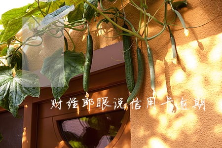 财经郎眼说信用卡逾期 财经郎眼说信用卡逾期