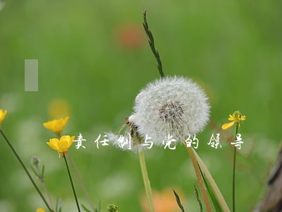 责任制与党的领导
