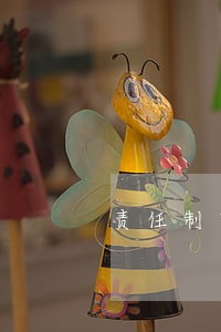 责任制实施意见落实中央