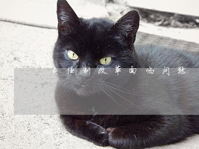 责任制改革面临问题