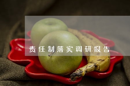 责任制落实调研报告