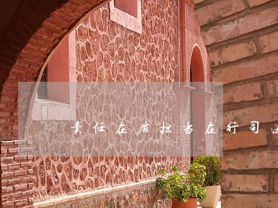 责任在肩担当在行司法 责任在肩担当在行司法