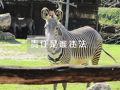 责任是谁违法 责任是谁违法