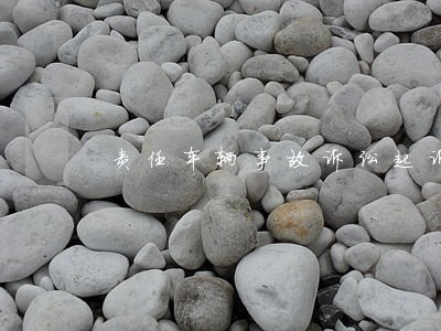 责任车辆事故诉讼起诉哪