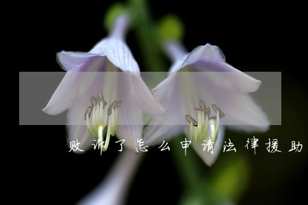败诉了怎么申请法律援助 败诉了怎么申请法律援助