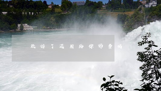 败诉了还用给律师费吗