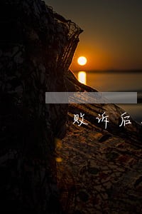 败诉后找律师要多少钱