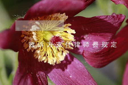 败诉方支付律师费规定