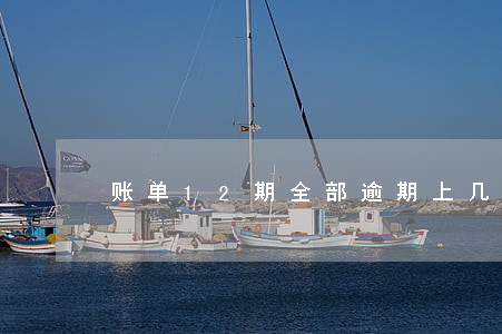账单12期全部逾期上几次征信 账单12期全部逾期上几次征信