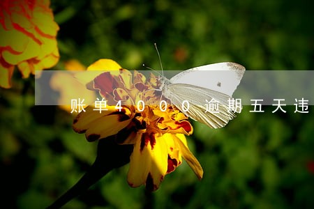 账单4000逾期五天违约金多少 账单4000逾期五天违约金多少