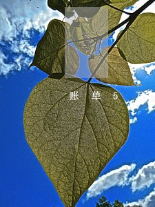 账单5万逾期一天多少钱 账单5万逾期一天多少钱