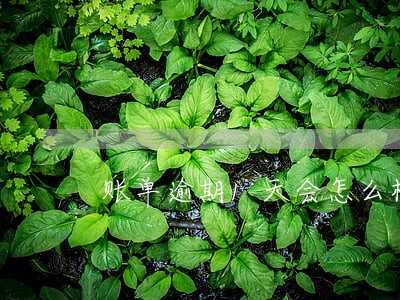 账单逾期1天会怎么样 账单逾期1天会怎么样