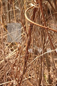 账单逾期22天未来可期 账单逾期22天未来可期