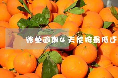账单逾期4天能按最低还吗 账单逾期4天能按最低还吗