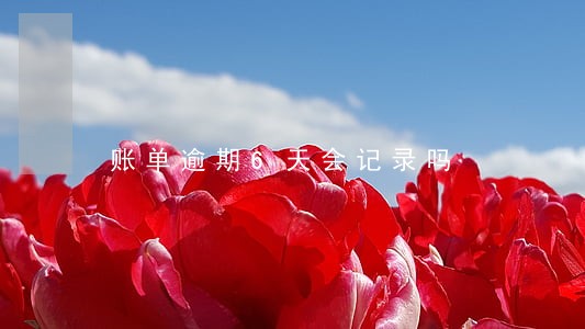 账单逾期6天会记录吗 账单逾期6天会记录吗