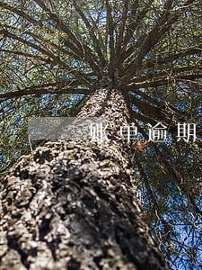 账单逾期上报金融信用 账单逾期上报金融信用