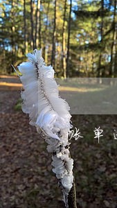 账单逾期影响信用