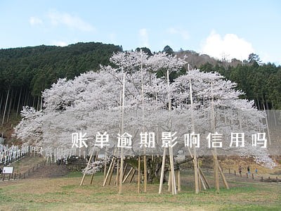 账单逾期影响信用吗 账单逾期影响信用吗