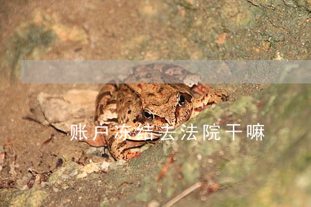 账户冻结去法院干嘛 账户冻结去法院干嘛