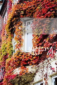 账户冻结逾期天数0 账户冻结逾期天数0