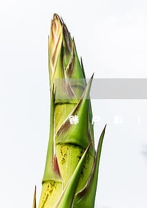 账户数1月份数2最长逾期2 账户数1月份数2最长逾期2