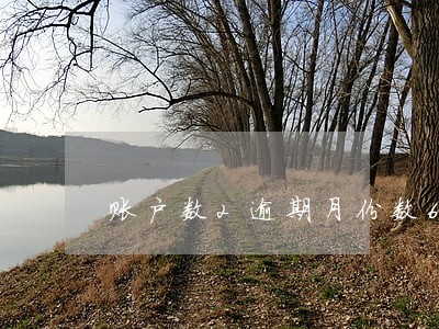账户数2逾期月份数6什么意思