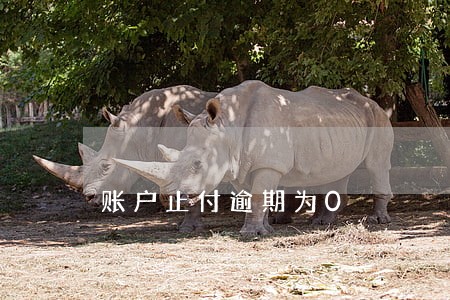 账户止付逾期为0 账户止付逾期为0