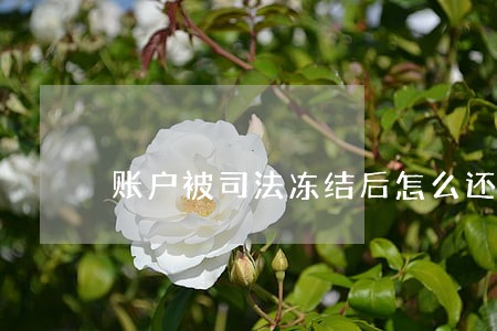 账户被司法冻结后怎么还贷款 账户被司法冻结后怎么还贷款