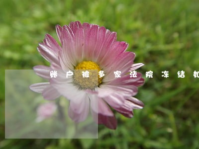 账户被多家法院冻结如何扣款 账户被多家法院冻结如何扣款