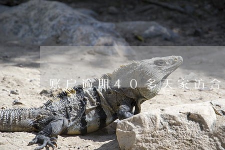 账户逾期40多天家访合规吗 账户逾期40多天家访合规吗
