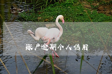账户逾期个人信用 账户逾期个人信用