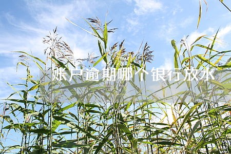 账户逾期哪个银行放水 账户逾期哪个银行放水