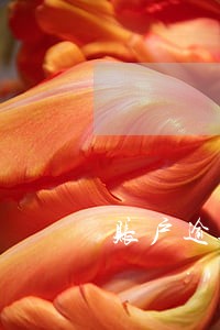 账户逾期数量1 账户逾期数量1