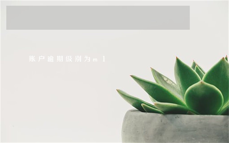 账户逾期级别为m1 账户逾期级别为m1