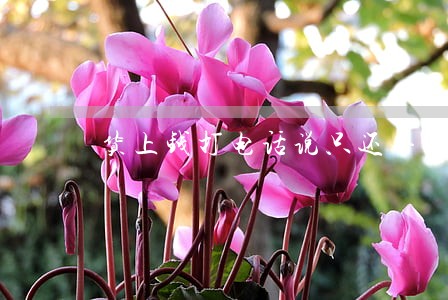 货上钱打电话说只还本金 货上钱打电话说只还本金