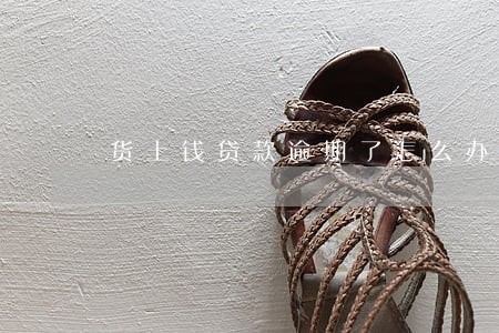 货上钱贷款逾期了怎么办 货上钱贷款逾期了怎么办